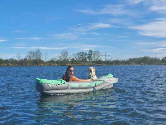 Dogorama-Monats-Challenge-Mai "Wasser"-Beitrag-Bild