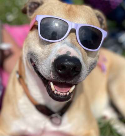 Fotochallenge Nr. 94 It's summer time-Beitrag-Bild