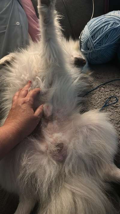 Foto Challenge - Zeigt her eure Bäuche-Beitrag-Bild