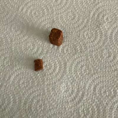 Giftköder-Giftköder-Bild