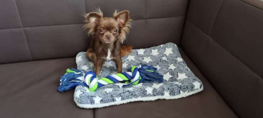 Doppelgänger gesucht !-Beitrag-Bild