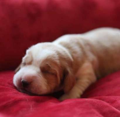 Erstes Bild-Beitrag-Bild