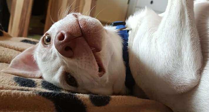 Fotowettbewerb Natur-Beitrag-Bild