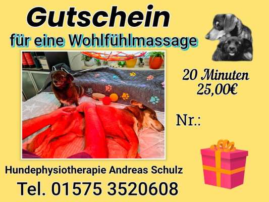 Weitere Unternehmen-Hundephysiotherapie Andreas Schulz-Bild