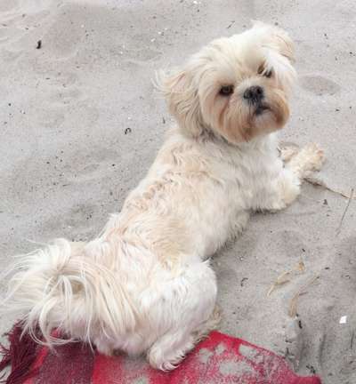 Doppelgänger gesucht !-Beitrag-Bild