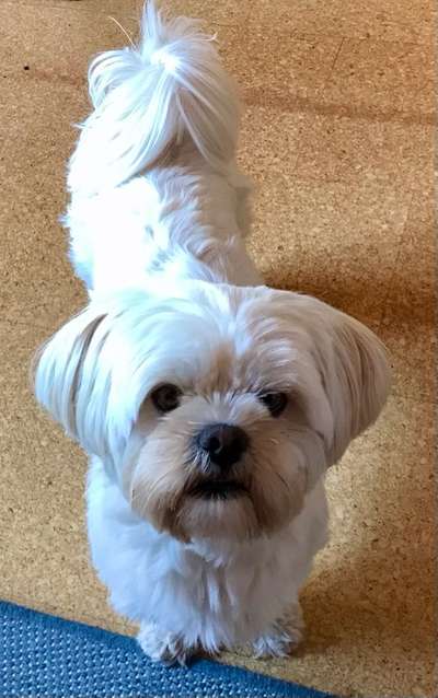 Doppelgänger gesucht !-Beitrag-Bild