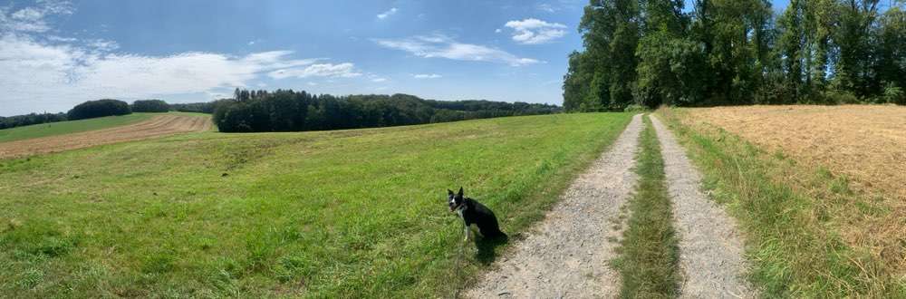 Feldwege zum spazieren ( in und um Köln / Bergisch Gladbach / Leverkusen )-Beitrag-Bild