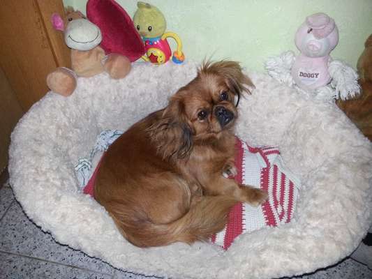 Lieblingsbild-Beitrag-Bild