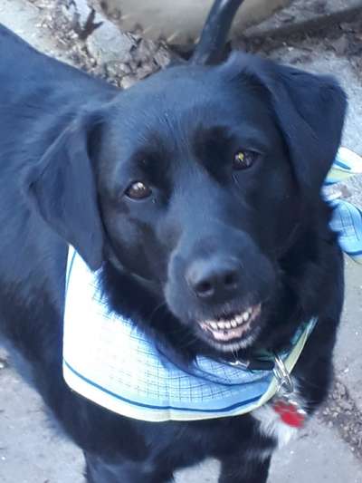 Lieblingsbild-Beitrag-Bild