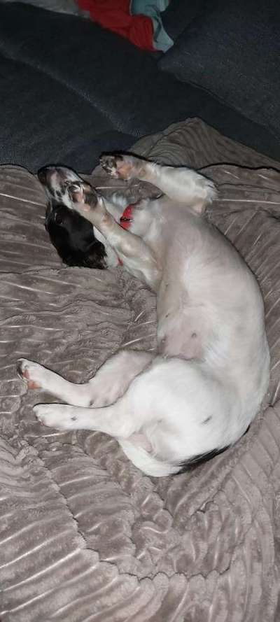 Die unbequemsten und lustigsten Schlafpositionen-Beitrag-Bild