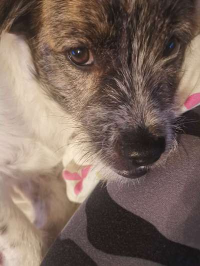 Fotochallange Nr. 57     PORTRÄT.   Beendet!!!!!!!!-Beitrag-Bild