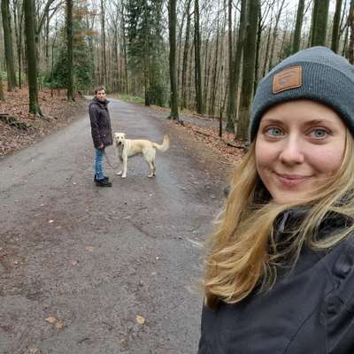 Hundetreffen-Hunderunde Nettebscheid-Profilbild