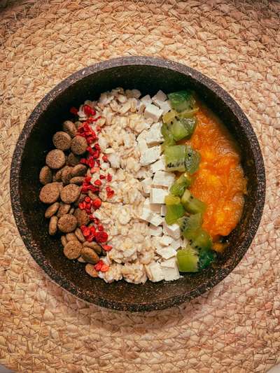 Zeigt her Eure Futternäpfe-Beitrag-Bild