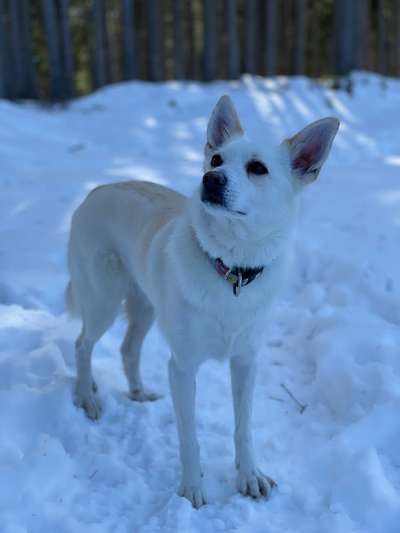 Ton in Ton-Beitrag-Bild