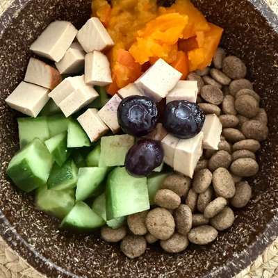 Zeigt her Eure Futternäpfe-Beitrag-Bild