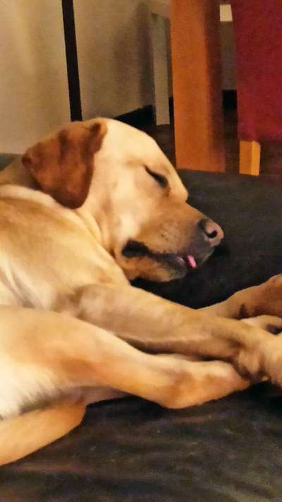 Foto Challenge Nr. 134-Beitrag-Bild