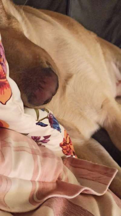 42. Handy Fotochallenge - Den richtigen Riecher haben-Beitrag-Bild