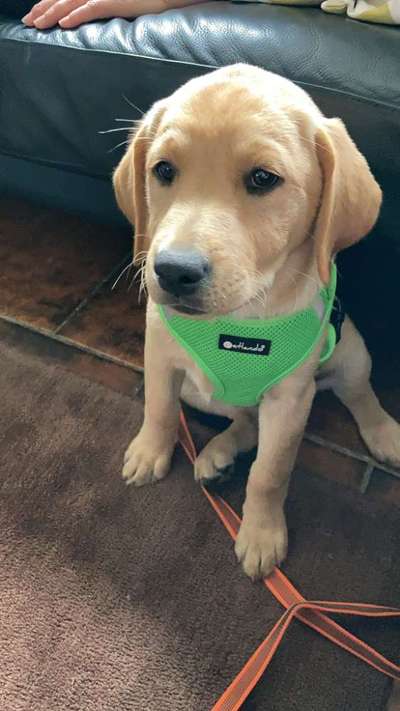 Fotochallange Nummer 5-Beitrag-Bild