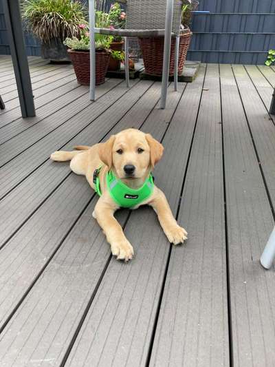 Fotochallange Nummer 5-Beitrag-Bild