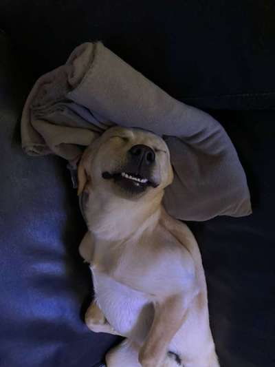 Das beste grinsefoto-Beitrag-Bild