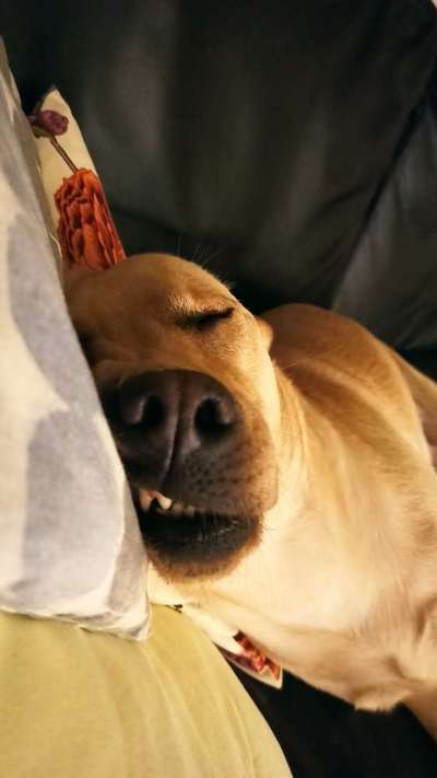 7. Collagen Challenge - Ganz Nah-Beitrag-Bild