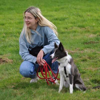Hundetreffen-Social Walk