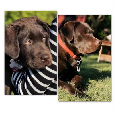 Vorher.... Nachher-Beitrag-Bild