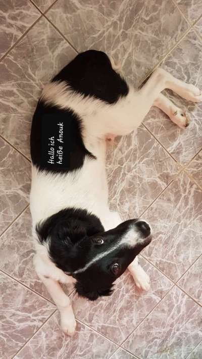 Blick fürs Detail!-Beitrag-Bild