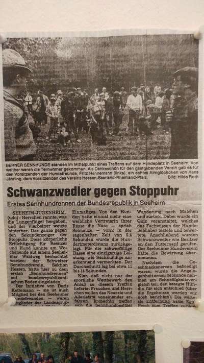 Berner Sennen-Beitrag-Bild