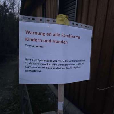 Giftköder-Hund vergiftet-Bild