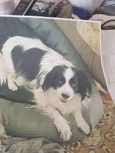 Lieblingsbild-Beitrag-Bild