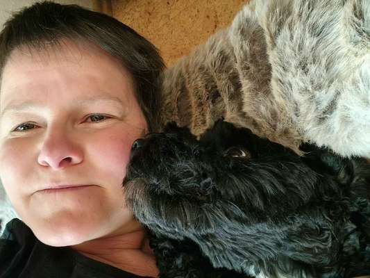 Dogorama Photo Challenge - Liebesbeweis-Beitrag-Bild