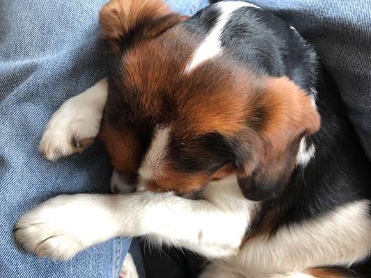 Fotochallange Nr. 57     PORTRÄT.   Beendet!!!!!!!!-Beitrag-Bild