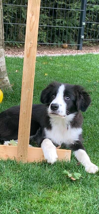 Handy-Foto Challange Nr. 10-Beitrag-Bild