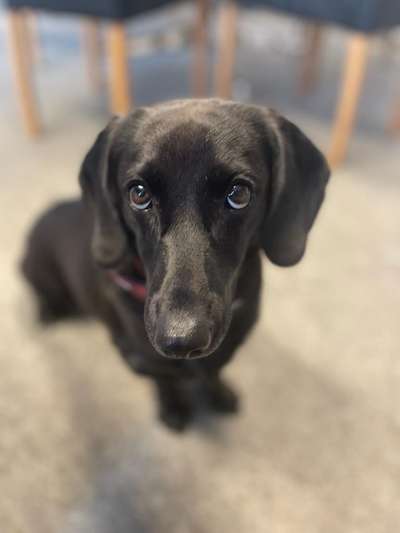 147. Foto Challenge: Bettelblick-Beitrag-Bild