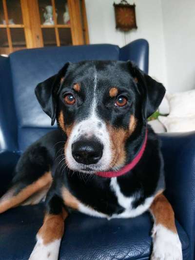 Lieblingsbild-Beitrag-Bild