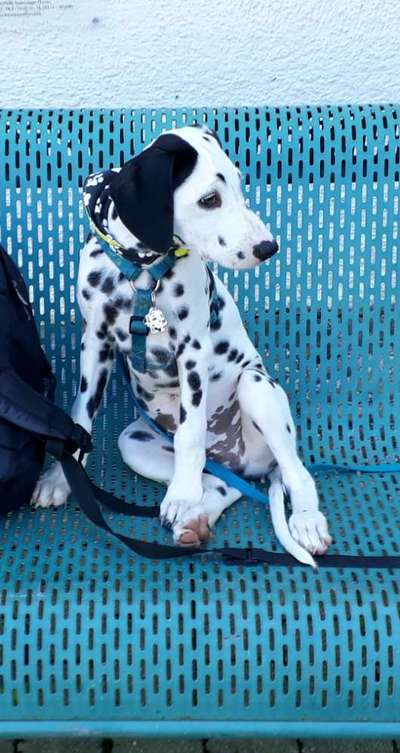 23. Farben / Fotochallenge - Türkis --Beitrag-Bild