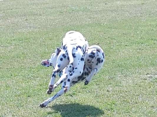 Lustigsten Bilder-Beitrag-Bild