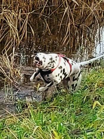 "Die eingefangene Magie des Augenblicks"-Beitrag-Bild