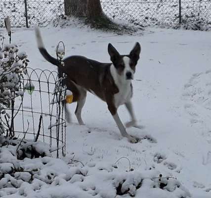 14. Farbenfoto-Challenge "Weiss"-Beitrag-Bild