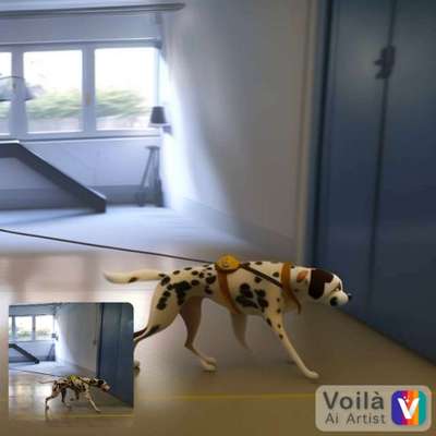 Voila app Bilder-Beitrag-Bild