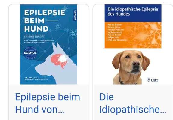 Epilepsie-Beitrag-Bild