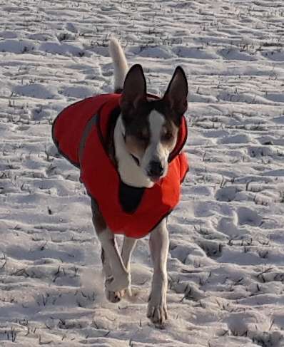 Verspielt-Beitrag-Bild