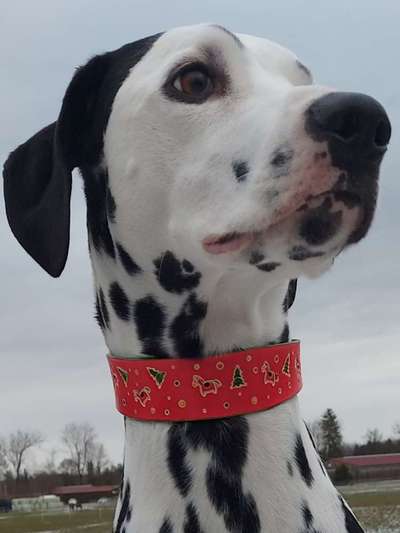 23. Collagen-Challenge: Portraits-Beitrag-Bild