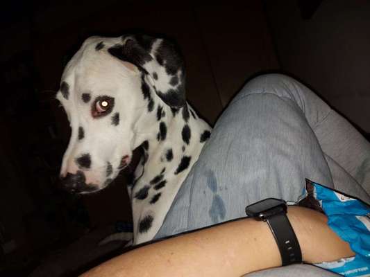 23. Collagen-Challenge: Portraits-Beitrag-Bild