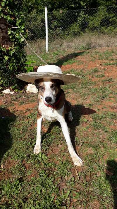 Lieblingsbild :D-Beitrag-Bild