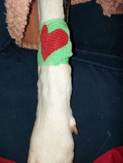 Was hat euch heute gefreut?-Beitrag-Bild