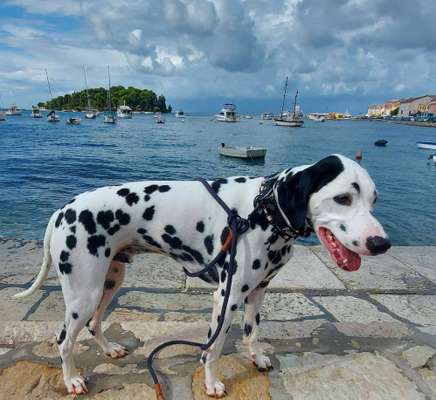 118. Fotochallange-Beitrag-Bild