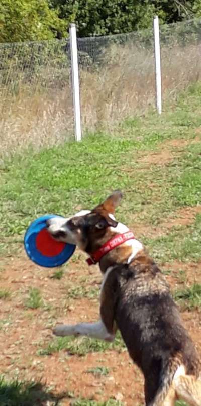 21. Farben / Foto Challenge - Neon / Leuchtfarben-Beitrag-Bild