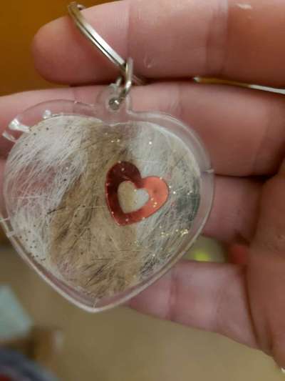 Diamant aus Fell-Beitrag-Bild